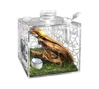 Small Reptile Terrarium, Transparent Terrarium, Spider Box, for Snails, Catchers, Lizards, Small Animals, Praying Mantis as well as for Indoor Use at Home