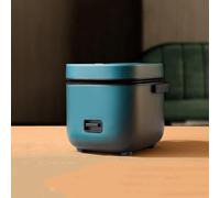 Small Rice Cooker 1 Person, Small Rice Cooker Mini Heating Rice Cooker Charger 1.2 Litre, Non-Stick Inner Pot with Steamer,Green