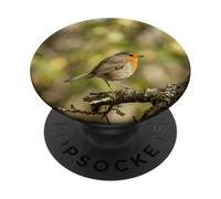 Small Robin Bird Forest Branch Wildlife Scene PopSockets Adhesive PopGrip