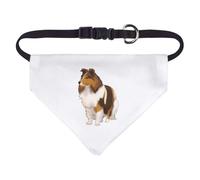Small 'Rough Collie' Dog/Cat/Pet Bandana (PD00064909)
