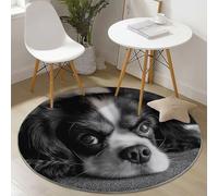 Small Round Area Rugs for Living Room 90 cm Animals Sad Puppy Close-Up Theme Soft Circle Carpet Rug Non Slip Machine Washable Bedside Floor Rug for Bedroom Kitchen Home Decor, Black