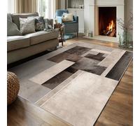 Small Rugs Indoor Door Mat 40 x 60 Geometric Pattern, Abstract Mid Century Area Rug for Entryway Bedroom Kitchen Home Decor, Washable Non Slip Low Pile Carpet fc225