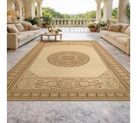 Small Rugs Washable,Retro Beige, Brown, 70 x 100 cm, Indoor Entryway Rug Floor Mats for House Entrance Hallway Carpets Kitchen,