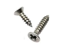 Small Self Tapping Screws, 100pcs Tiny 304 A2 Stainless Steel Cross Flat Countersunk Head Self-tapping Screw(12mm,M2)