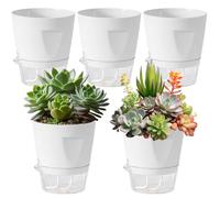 Small Self Watering Pots,5 Pieces Grow Cup Box,11x10cm Planter Pot with Water Level Indicator - Effortless Hydration Control For Balcony Patio Deck Porch Garden Yard Indoor Living Room