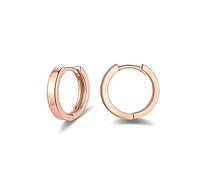 Small Silver Hoops Earrings for Women, 925 Sterling Silver Post Small Silver Hoop Earrings, Rose Gold Plated 8mm Hypoallergenic Small Sleeper Cartilage Hoops Huggie Hinged Earrings for Women Girls
