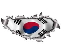 Small Single Flag Of South Korea Metal Rip Open Sticker