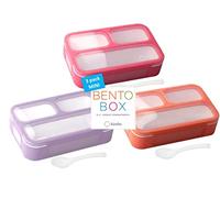 Small Snack Containers for Kids Toddlers - 3 Compartments (Set of 3) - Leak-Proof Reusable Boxes with Lids -BPA-Free Plastic Mini Bento Lunch Box - Ideal for School, Holds 2 Cups (Pink+ Purple+ Coral)