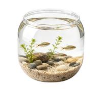 Small Spherical Fish Jar, Transparent Shatterproof Round, Small Red Fish Tank, Ideal for Home, School, Classroom, Dorm, Restaurant, Bar, Living Room, Bedroom, Bur