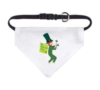 Small 'St Patrick's Day Leprechaun With His Flag' Dog/Cat/Pet Bandana (PD00060991)