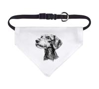 Small 'Standard Wire-haired Dachshund' Dog/Cat/Pet Bandana (PD00061189)