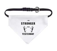 Small 'Stronger Today, Unbreakable Tomorrow' Dog/Cat/Pet Bandana (PD00057371)