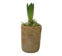 Small Terracotta Plant Pot, Rustic Terracotta Planter, Mediterranean Flower, Succulent, Herb, Bulb, Crocus Pot, Indoor Outdoor Small Garden Planter