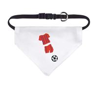 Small 'The Fun Of Football ' Dog/Cat/Pet Bandana (PD00061695)