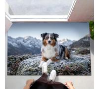 Small Thin Door Mats Indoor 50X80Cm, Realistic Snow Mountain Animals Non Slip Front Door Mat Inside, Natural Australian Shepherd Low Profile Inside Doormat, Easy To Clean Floor Mat For Entryway, Grey