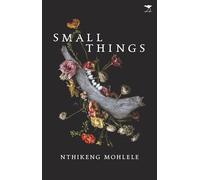 Small things: A novel