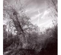 Small Turn of Human Kindness by Harvey Milk (2010) Audio CD