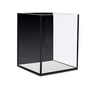 Small Ultra Clear High Transparency Fish Tank Desktop Office Aquarium Frameless Glass Entry-Level South American Inspiration