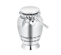 Small Urns for Human Ashes Keepsake Cremation Urn for Human Ashes with Wings Charm Mini Personal Funeral Urn for Pet (Silver Small Wings)
