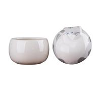 Small Urns for Pets Ashes, Ceramic Memorial Mini Cremation Urns, Hold 150ml of Ashes,Beautiful Sealed Mini Funeral Urns(Grey Cat)
