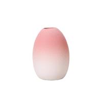 Small Vase, Gradient Pastel Color Frosted Dried Flower Holder For Office Home Decor(Color-09)