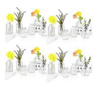 Small Vases for Flowers EylKoi - Bud Vase Glass 24pcs/set Clear Pumpkin and Vertical Stripes, Vintage Wedding Decor, Bud Vases in Bulk Vases Centerpieces Single Flower Vases for HomeEvents Table,4#