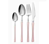 Small Waist Handle Kitchen Stainless Steel Silverware Tableware Flatware Cutlery Knives Forks Spoons Set Home Steak Knife Dessert Spoon (Pink Silver,4 Pieces)
