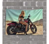 Small Wall Tapestry A Woman in A Bikini Sits On A Red Motorcycle in The Desert Tapestry Earthy Room Decor Funny Outdoor Decor(75X100CM)
