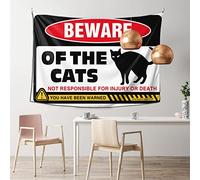 Small Wall Tapestry Beware of Cats Tapestry Aesthetic Tapestry Cool Things for Your Room(75X100CM)