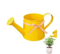 Small Watering Can | 1 Litre Garden Pot,Household Plants Watering Can with Handle - for Office Balcony Bonsai Outdoor Indoor Plants Seedlings