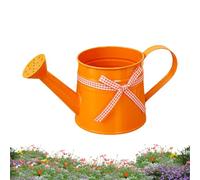 Small Watering Can - 1L Decorative Metal Watering Pot, Indoor Plant Sprinkler Can | Lightweight Durable Garden Tool Stylish Design, Suitable For Water Indoor Plants Bonsai Flowers Seedlings Home