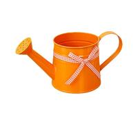 Small Watering Can - 1L Garden Watering Can | Metal Decorative Pot | Modern Plant Waterers | Compact Gardening Equipment | For Home Balcony Garden Outdoor Indoor Bonsai Flowers