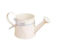 Small Watering Can - 1L Metal Decorative Sprinkler Pot | Long Spout Precision Pour Indoor Outdoor Plant Watering Can for Home, Office, Balcony, Garden, Bonsai or Flowers