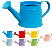 Small Watering Can, 1L Metal Flower Garden Watering Can with Handle, Gardening Tool Accessories Sprinkling Can for Kids Outdoor Indoor Plants Lawn (Blue)