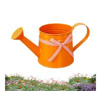 Small Watering Can - 1L Metal Plant Pot, Decorative Watering Can with Long Spout, Modern Indoor Planter Accessory for Home Office, Balcony Garden Outdoor Bonsai Flower Care