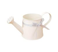 Small Watering Can, 1L Metal Pot with Sprinkler Head and Gingham Ribbon - Precise Water Control Outdoor Plant Watering Can - Compact and Portable for Home Office Balcony Indoor Bonsai Flowers