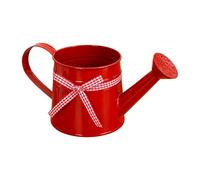 Small Watering Can, 1L Metal Pot with Sprinkler Head and Gingham Ribbon - Precise Water Control Outdoor Plant Watering Can - Compact and Portable for Home Office Balcony Indoor Bonsai Flowers