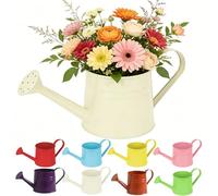 Small Watering Can and Planter Set, 1L Mini Metal Watering Can with Handle, Rustproof Galvanized Sprinkler for Garden Lawn Home, 2-in-1 Watering Tool and Decorative Planter for Indoor Outdoor