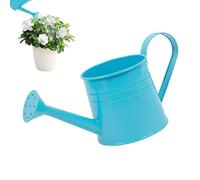 Small Watering Can For Indoor Plants 1 Liter Flower Vase, Small Planter Pot