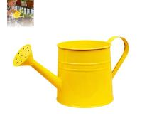 Small Watering Can for Indoor Plants, Mini Houseplant Watering Can with Handle, for Indoor/Outdoor Garden Home Plants (Yellow)