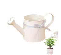 Small Watering Can For Plants, 1L Metal Watering Can Small Retro Metal Decorative Pot, Water Pot With Sprinkler Head Gingham Ribbon, Decorative Indoor Plants Cans