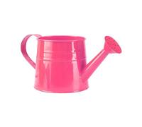 Small Watering Can Outdoor Rose, Indoor Watering Can Plants Perfect Gardening Tool, Durable Metal Watering Cans, Easy Pour Garden Jug with Sprinkler Rose Head, Ideal for Flowers Houseplants