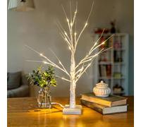 Small White Twig Tree with Lights - 60cm Mini White Birch Tree with Lights 20 Warm LEDs Battery Operated or Micro USB Powered Tabletop Decoration for Christmas and Easter