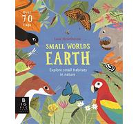 SMALL WORLDS EARTH