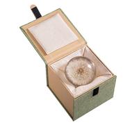 Smallan Dandelion Paperweight, Dream Balls, Crystal Resin Wish Balls, Unique Clear Resin Dandelion Flower Home Accessories, The Perfect Gift for Teachers' Day and Valentine's Day (7cm)