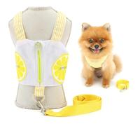 SMALLLEE_LUCKY_STORE Cute Lemon Dog Harness for Extra Small and Small Dog No Pull Puppy Harness Vest Lead Set Zipper Pocket Cool Mesh Pet Clothes with D-Ring Summer Chihuahua Yorkie Apparel Yellow L