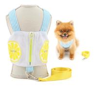 SMALLLEE_LUCKY_STORE Cute Lemon Dog Harness for Extra Small and Small Dog No Pull Puppy Harness Vest Lead Set Zipper Pocket Cool Mesh Pet Clothes with D-Ring Summer Chihuahua Yorkie Apparel Blue S