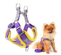 SMALLLEE_LUCKY_STORE Cute Pet Step-in Puppy Harness and Leash Set for Small Medium Dogs Cats Front Back Clip No Pull Reflective Soft Padded Adjustable Comfort Vest Harness for Walking,Purple, S