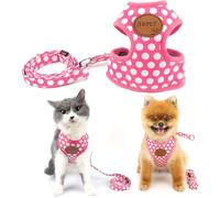 SMALLLEE_LUCKY_STORE New Soft Mesh Nylon Vest Polka Dot Pet Cat Small Dog Harness Dog Leash Set Leads Pink S