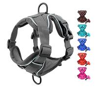 SMALLLEE_LUCKY_STORE Pet No Pull Puppy Harness and Leash Set for Small Medium Dogs Cats Front Back Clip Reflective Soft Mesh Padded Adjustable Comfort Vest for Walking French Bulldog Harness,Grey,XL